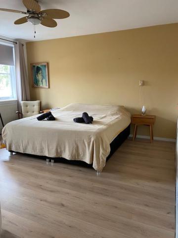 Sunnystay 43 Мидделбург Экстерьер фото